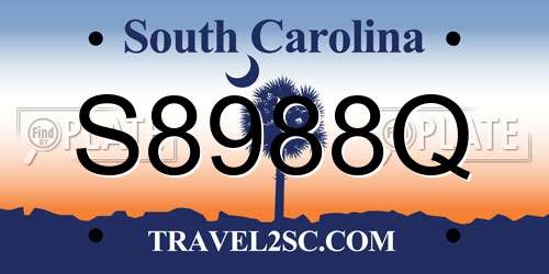 S8988Q South Carolina License Plate