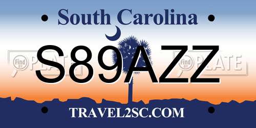 S89AZZ South Carolina License Plate