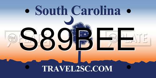 S89BEE South Carolina License Plate