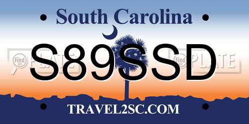 S89SSD South Carolina License Plate