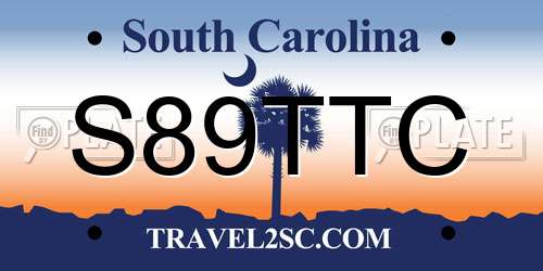 S89TTC South Carolina License Plate