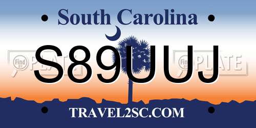 S89UUJ South Carolina License Plate