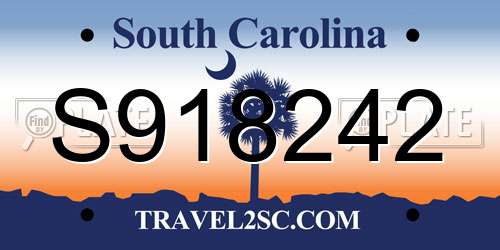 S918242 South Carolina License Plate