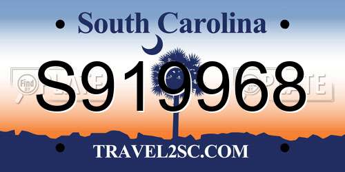 S919968 South Carolina License Plate