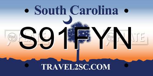 S91FYN South Carolina License Plate