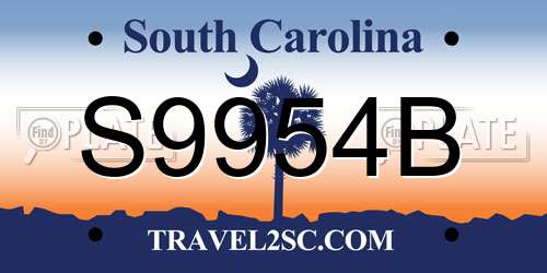 S9954B South Carolina License Plate