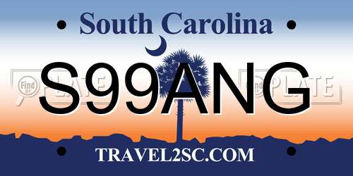 S99ANG South Carolina License Plate