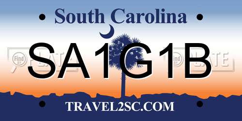 SA1G1B South Carolina License Plate