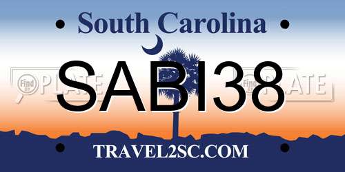 SABI38 South Carolina License Plate