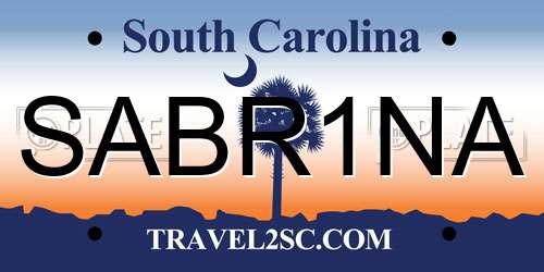 SABR1NA South Carolina License Plate