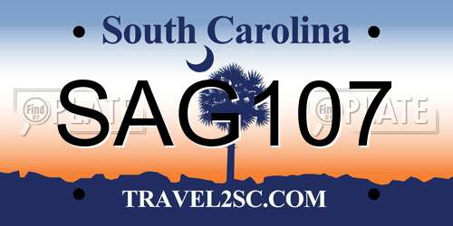 SAG107 South Carolina License Plate