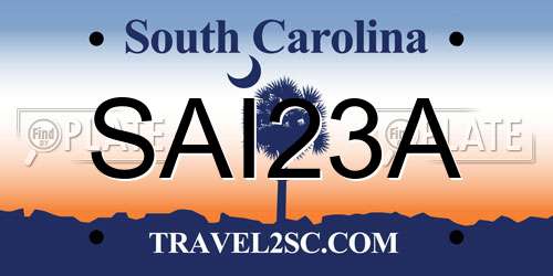 SAI23A South Carolina License Plate