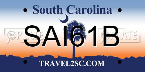 SAI61B South Carolina License Plate