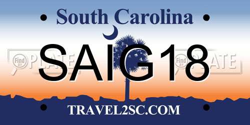 SAIG18 South Carolina License Plate