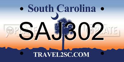 SAJ302 South Carolina License Plate