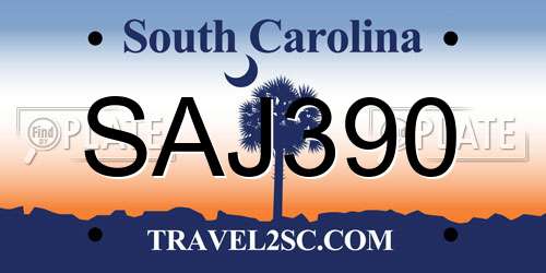 SAJ390 South Carolina License Plate