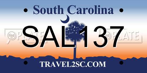 SAL137 South Carolina License Plate
