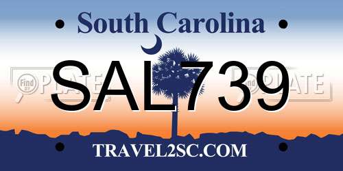 SAL739 South Carolina License Plate