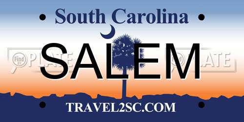 SALEM South Carolina License Plate