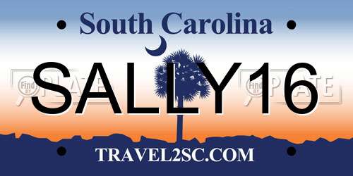 SALLY16 South Carolina License Plate