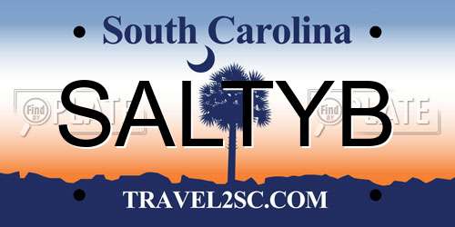 SALTYB South Carolina License Plate