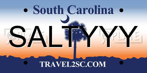SALTYYY South Carolina License Plate