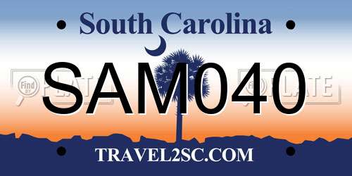 SAM040 South Carolina License Plate