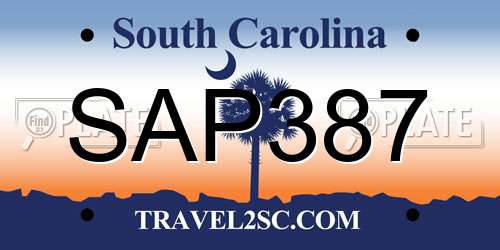 SAP387 South Carolina License Plate