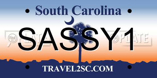 SASSY1 South Carolina License Plate
