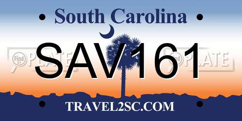 SAV161 South Carolina License Plate