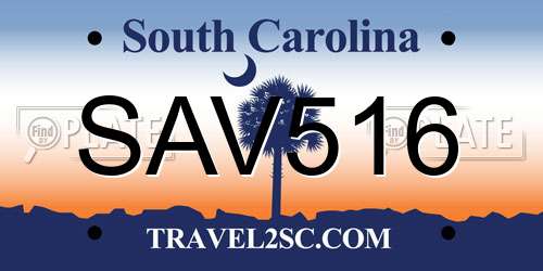 SAV516 South Carolina License Plate