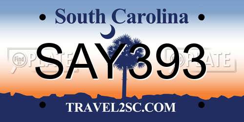 SAY393 South Carolina License Plate