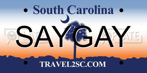 SAYGAY South Carolina License Plate