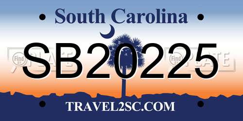 SB20225 South Carolina License Plate