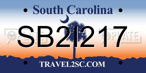 SB2I217 South Carolina License Plate