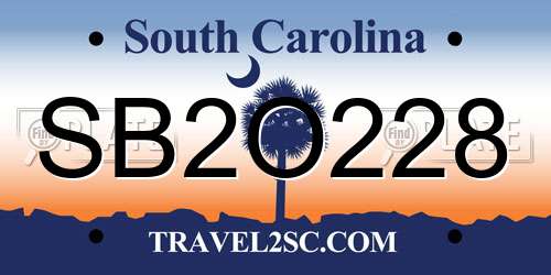 SB2O228 South Carolina License Plate
