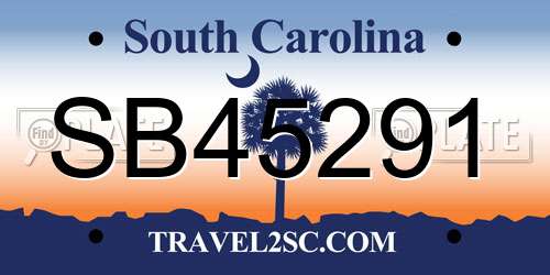 SB45291 South Carolina License Plate