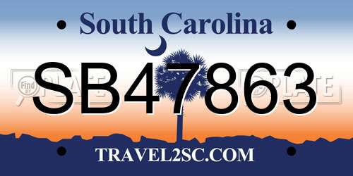 SB47863 South Carolina License Plate