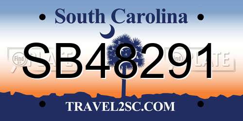 SB48291 South Carolina License Plate