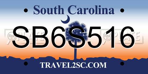 SB6S516 South Carolina License Plate