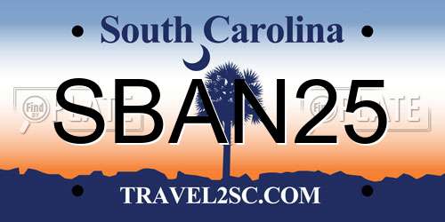 SBAN25 South Carolina License Plate