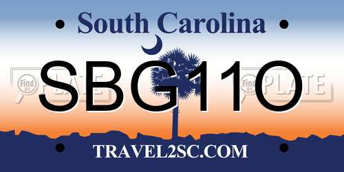 SBG11O South Carolina License Plate