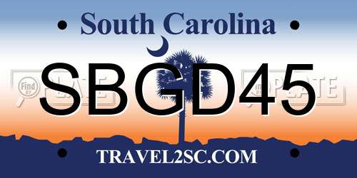 SBGD45 South Carolina License Plate