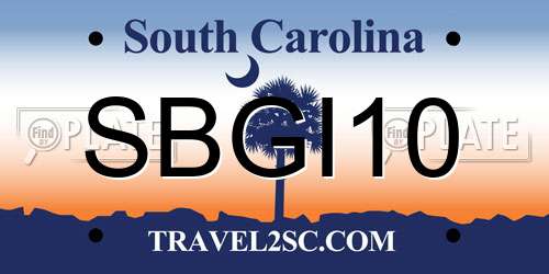 SBGI10 South Carolina License Plate