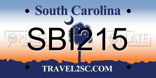 SBI215 South Carolina License Plate