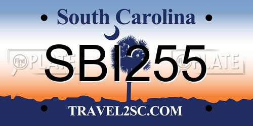 SBI255 South Carolina License Plate
