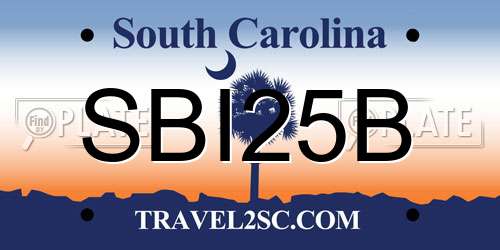 SBI25B South Carolina License Plate
