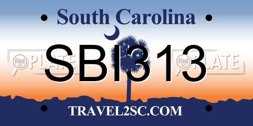 SBI313 South Carolina License Plate