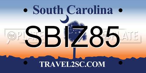 SBIZ85 South Carolina License Plate