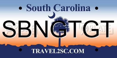 SBNGTGT South Carolina License Plate